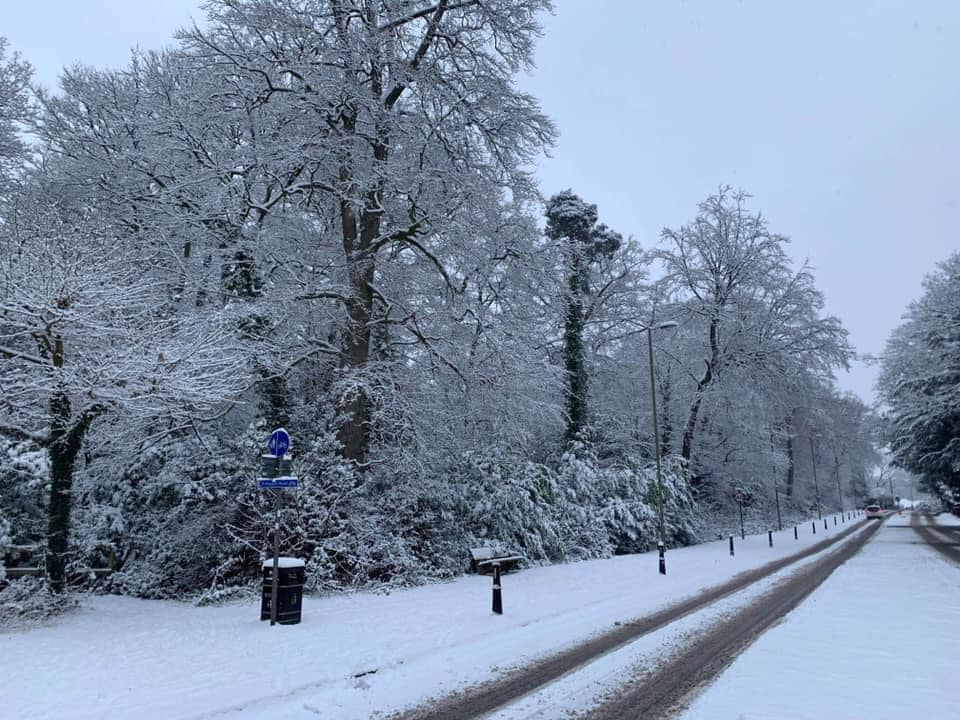 Farnborough Road - Claire Wilson