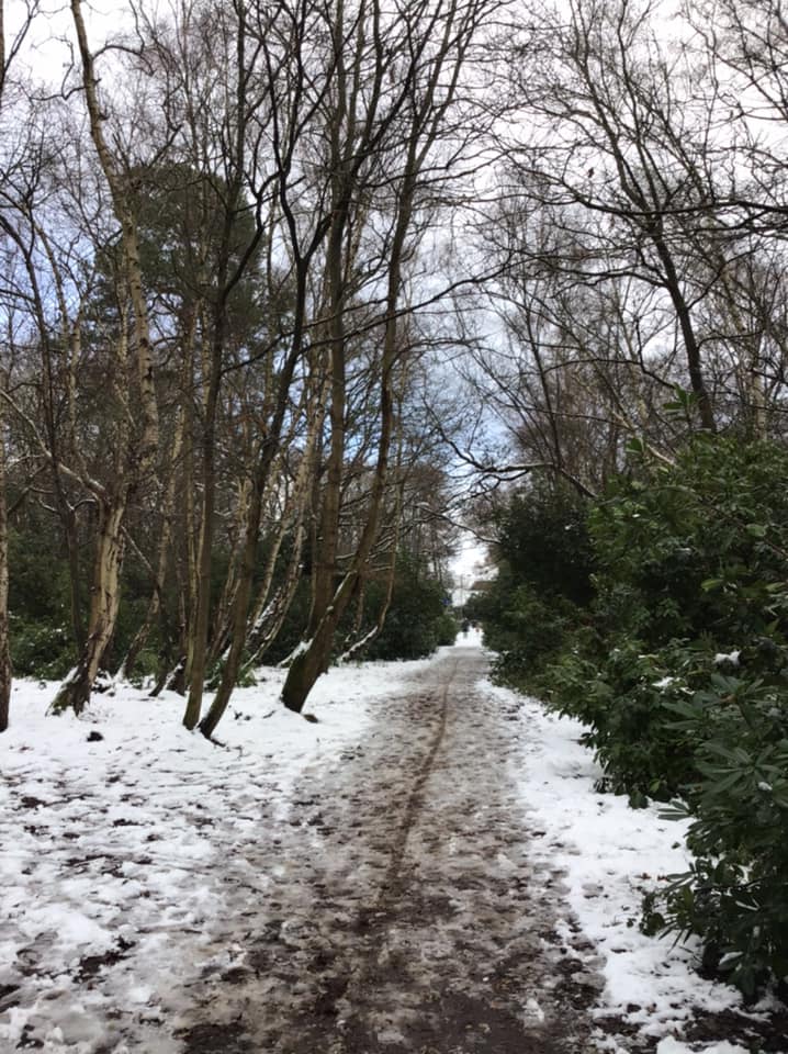 Snowy Path - Sue Runciman