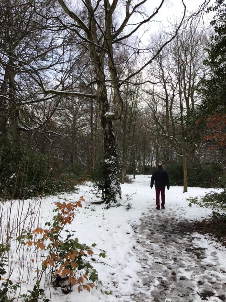 Walk in the Snow - Sue Runciman