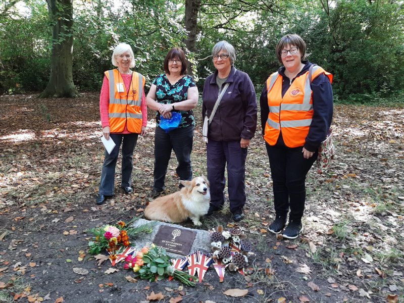 Group with corgi