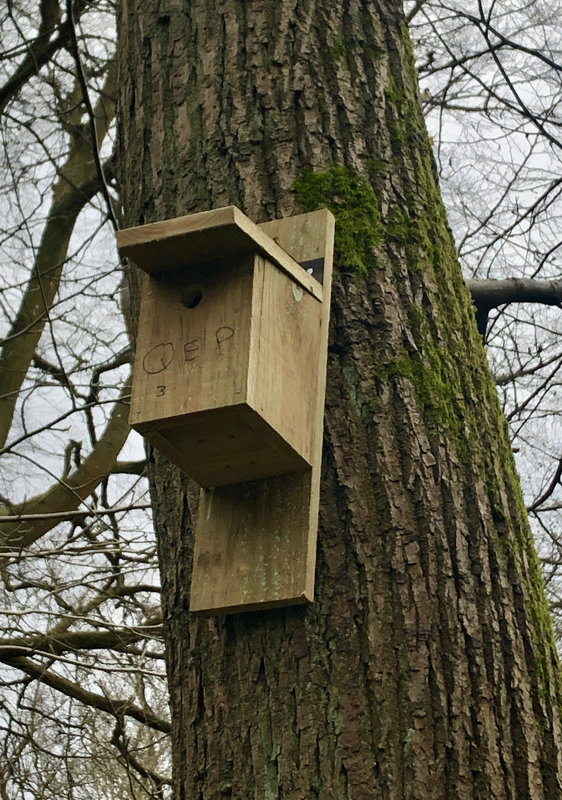 One of our new nest boxes ready for its first occupants