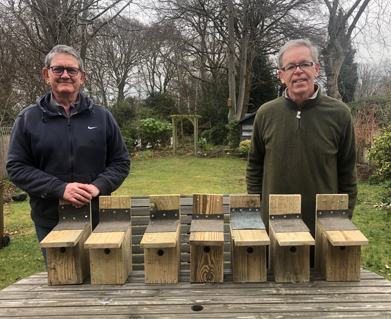 A new batch of nest boxes ready to be put up in the park